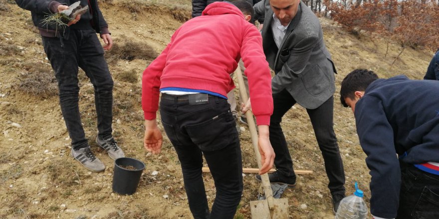 HAVZA MTAL ÖĞRENCİLERİ FİDAN DİKTİ