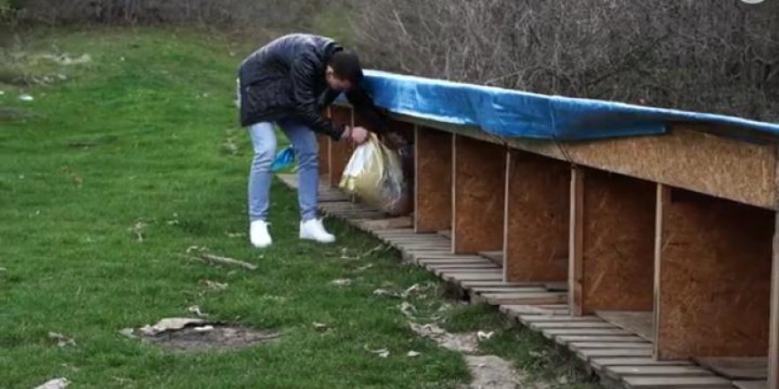 ATAKUM BELEDİYESİ SOKAK HAYVANLARINI UNUTMADI
