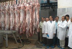 Etin yüzde 40'ı kaçak