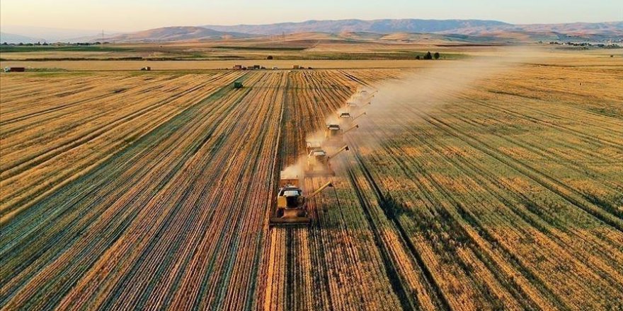TAMAMLANAMAYAN KIRSAL KALKINMA YATIRIMLARI İÇİN 60 GÜN EK SÜRE VERİLDİ