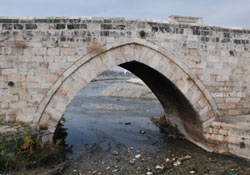 Yeşilırmak'ta kirlilik