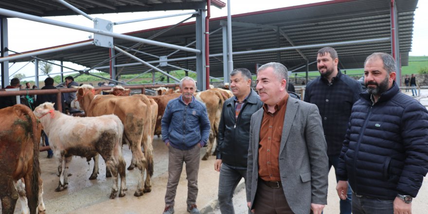 HAVZA KAPALI CANLI HAYVAN PAZARI AÇILDI