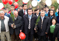 Fidan kampanyası
