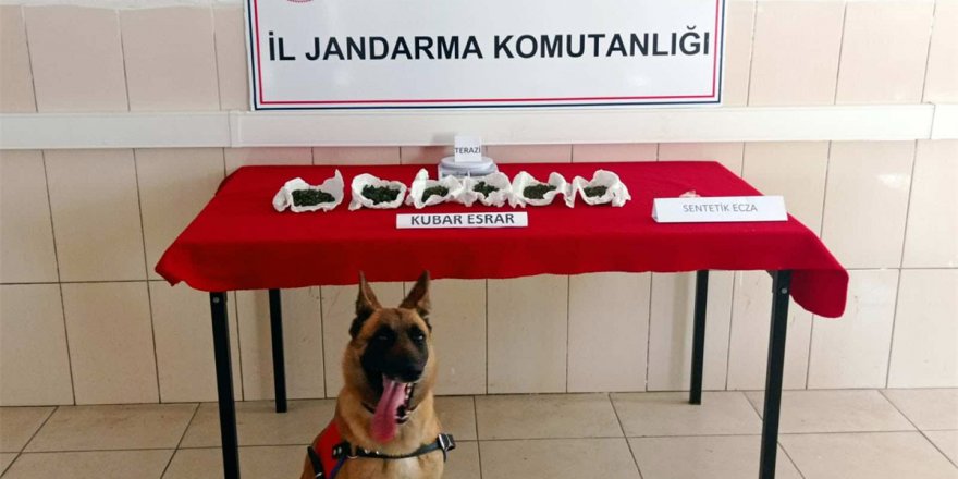 SAMSUN'DA UYUŞTURUCU OPERASYONLARINDA 37 ZANLI YAKALANDI