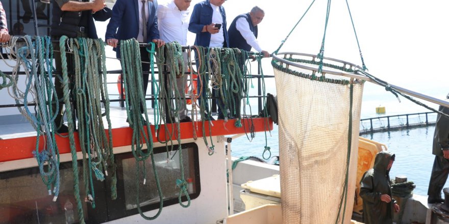SAMSUN'UN YAKAKENT İLÇESİNDEKİ TESİSTE TÜRK SOMONUNUN İLK HASADI YAPILDI