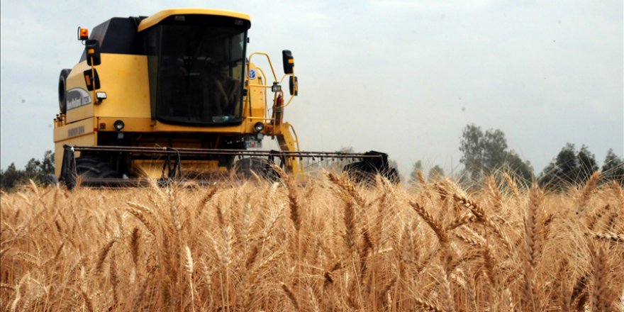 'DÜNYANIN EKMEK SEPETİ'NDEKİ SAVAŞ, GIDA GÜVENLİĞİNİ RİSKE SOKUYOR