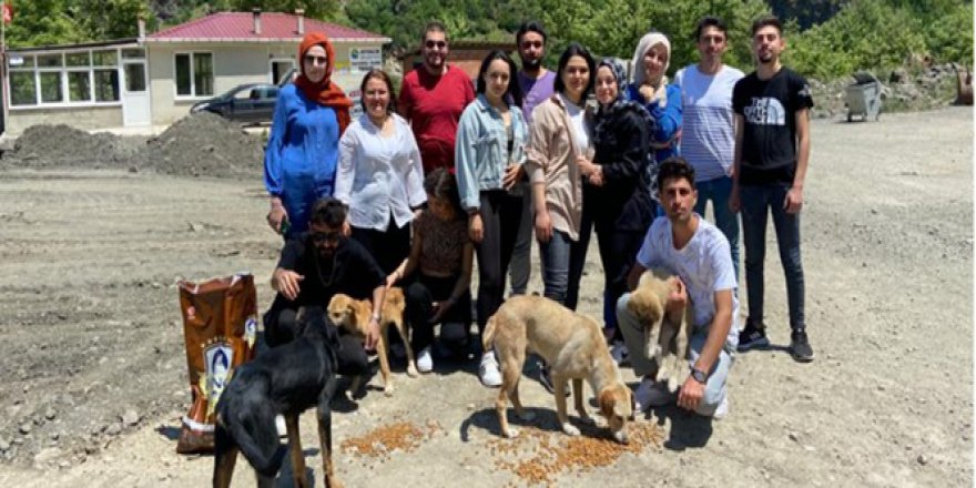 SAĞLIK HİZMETLERİ ÖĞRENCİLERİNDEN AYVACIK’TAKİ BARINAK HAYVANLARINA YARDIM ELİ