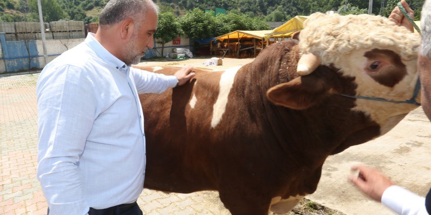 BAŞKAN SANDIKÇI HAYVAN PAZARI’NI ZİYARET ETTİ