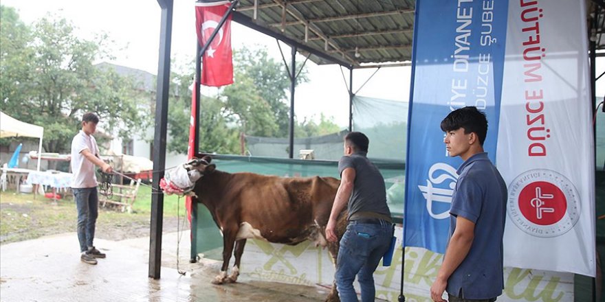 CUMHURBAŞKANI ERDOĞAN'IN TDV'YE BAĞIŞLADIĞI KURBAN DÜZCE'DE KESİLDİ