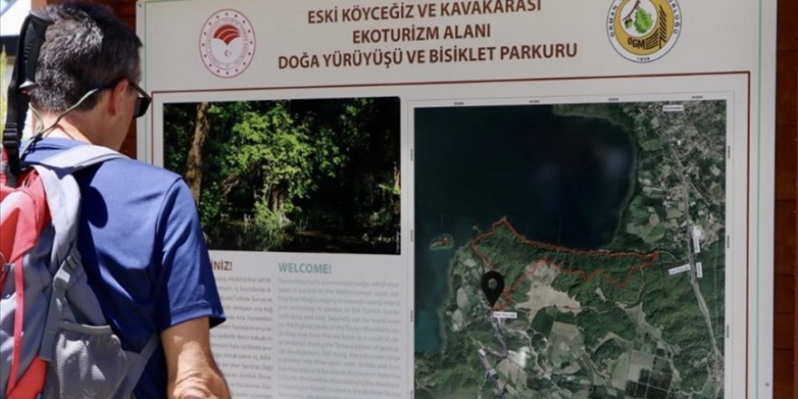 'BENİM ORMANIM' UYGULAMASI ORMANLARI DOĞASEVERLERİN 'CEBİNE' TAŞIYOR