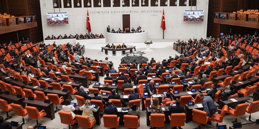MECLİS PARLAMENTER DİPLOMASİ İLE DIŞ POLİTİKADA DA ETKİN