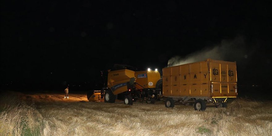 ÇİFTÇİLERDEN AŞIRI SICAĞA 'GECE HASADI' ÇÖZÜMÜ