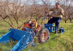 Amasyalı mucit Hurşit
