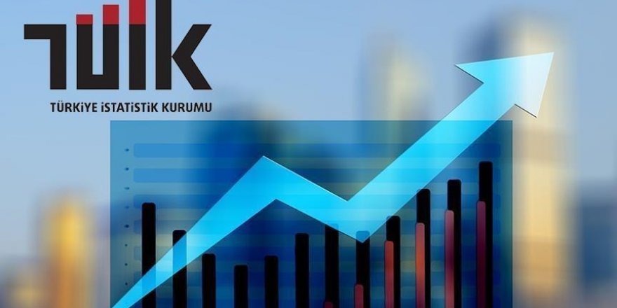 TÜİK 2011-2020 DÖNEMİNİN YÜKSEKÖĞRETİM İSTİHDAM GÖSTERGELERİNİ DUYURACAK