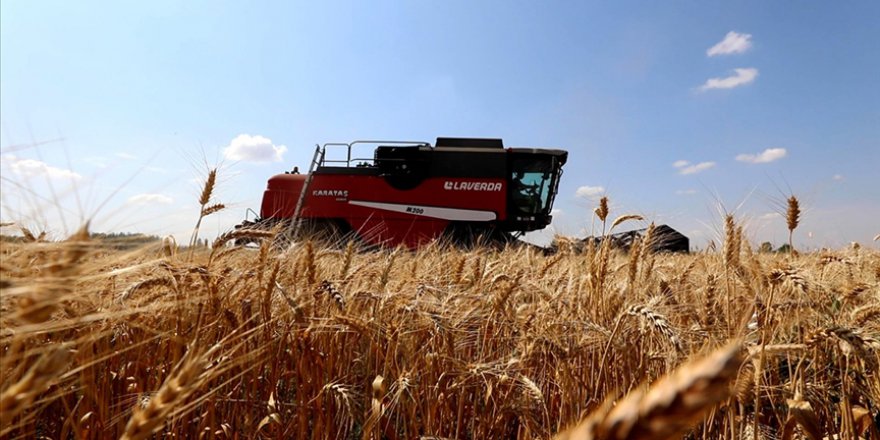 İTHAL EDİLEN BUĞDAYLAR İŞLENİP KATMA DEĞERLİ İHRACATA DÖNÜŞÜYOR