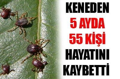 Kene 5 ayda 55 can aldı...