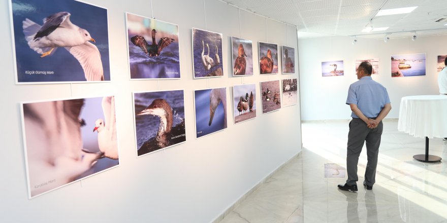 ATAKUM BELEDİYESİ’NDEN NESLİ TÜKENEN KUŞLAR İÇİN FOTOĞRAF SERGİSİ