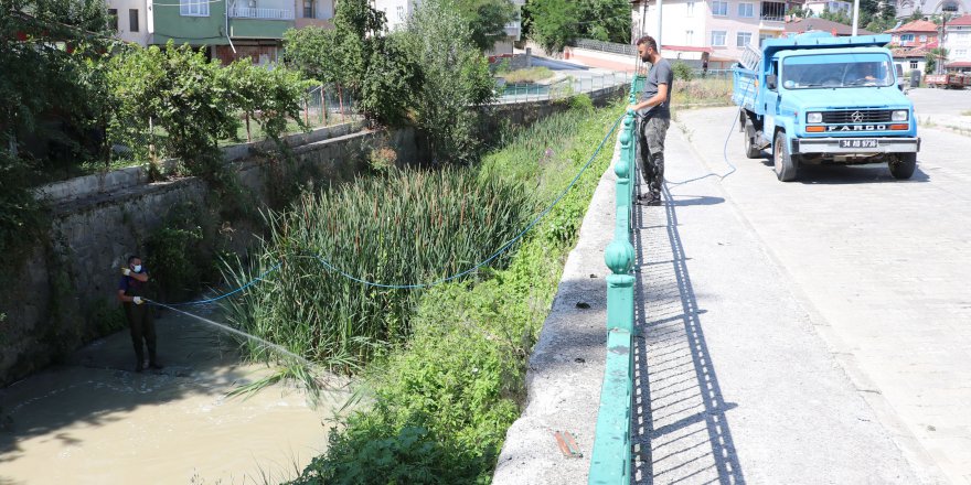 HAVZA BELEDİYESİNDEN İLAÇLAMA ÇALIŞMASI