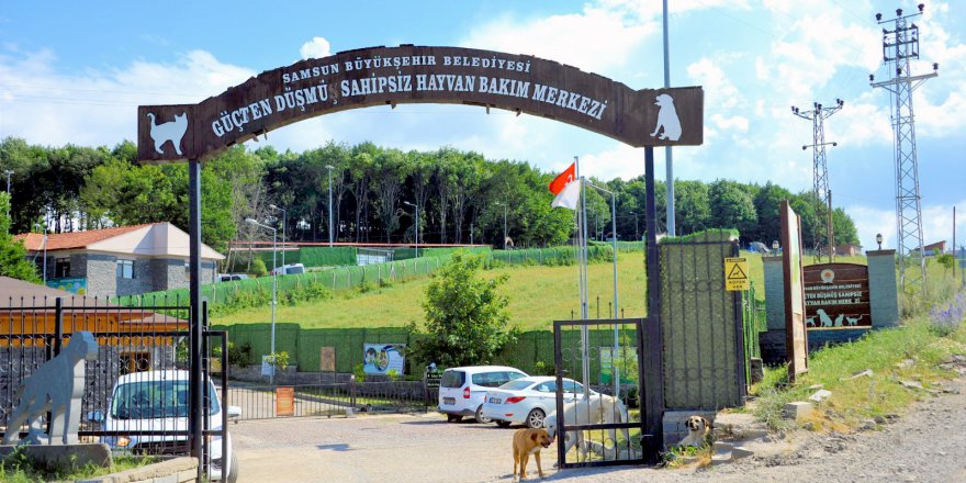 HAYVAN BAKIMEVİ ZİYARETE AÇILIYOR