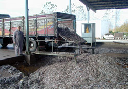 Hamsi biterse balıkçılık biter