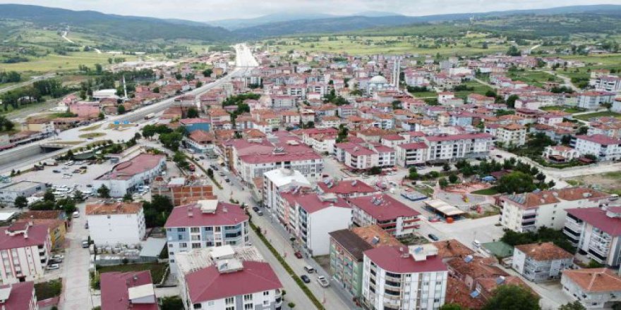 "SAHİPSİZ KÖPEKLERİN ZEHİRLENDİĞİ" İDDİASI