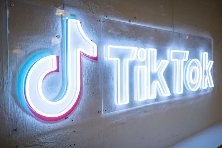 Tiktok Video İndir