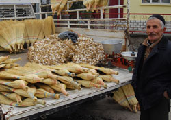 Ot süpergesinin zaferi