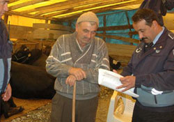 Gazi'de kurban hazırlığı