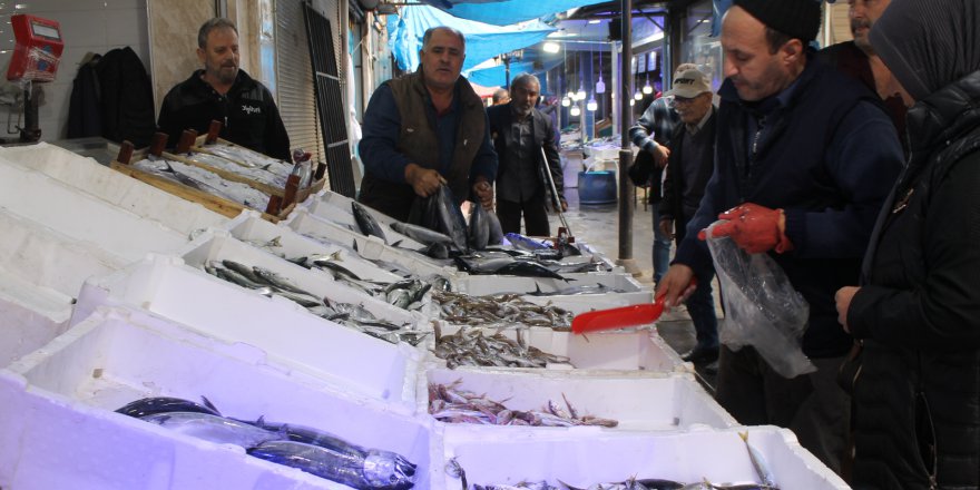TEZGAHLARDA BALIK BOLLUĞU