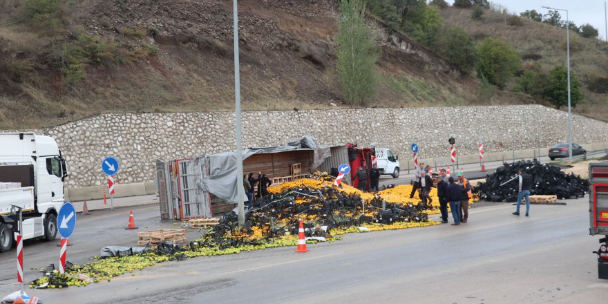 NARENCİYE YÜKLÜ TIR DEVRİLDİ