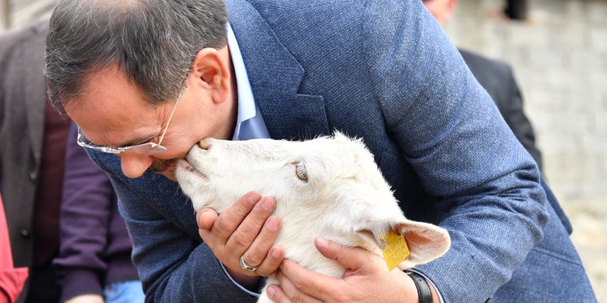 HAYVANCILIĞA DESTEK