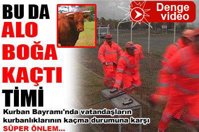 "Alo boğa kaçtı" timi göreve hazır