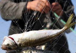 Fırtına ile gelen bereket