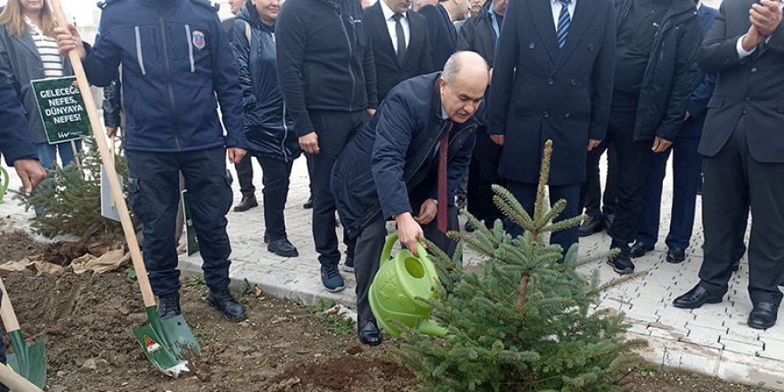 SAMSUN'DA FİDANLAR TOPRAKLA BULUŞTU