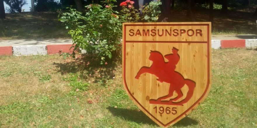 SAMSUNSPOR KARLI ÇIKTI