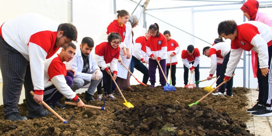 OKUL SERASINDA KIŞLIK SEBZE