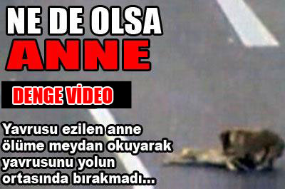 Ne de olsa anne ...