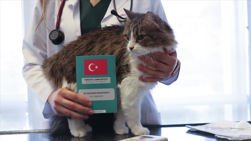 BUGÜN SON GÜN