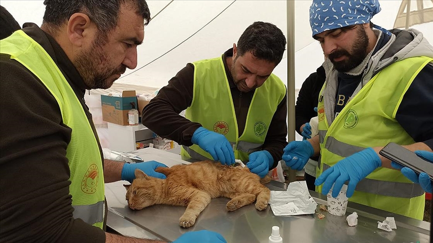 "CAN DOSTLAR"IN YARDIMINA KOŞUYORLAR