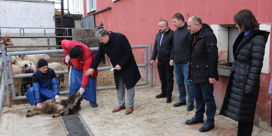 DEPREM BÖLGESİNE ET YARDIMI