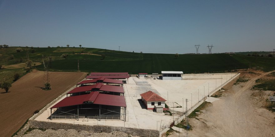 CANLI HAYVAN PAZARI KAPATILDI
