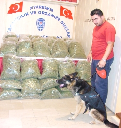 20 Ton Uyuşturucu Yakalandı ....