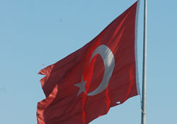 Türk Bayrağı'na zarar verdi