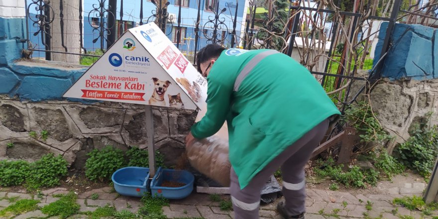 CANİK'TE CAN DOSTLARI YALNIZ BIRAKILMIYOR