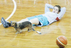 Önce BOTAŞ sonra Mersin