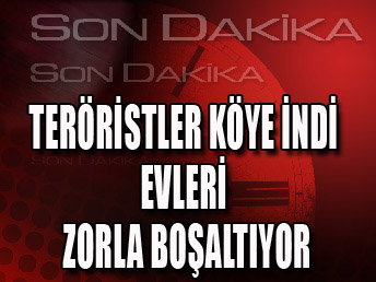 Terörist köye indi