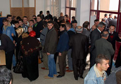 Sinopta temayül yoklaması