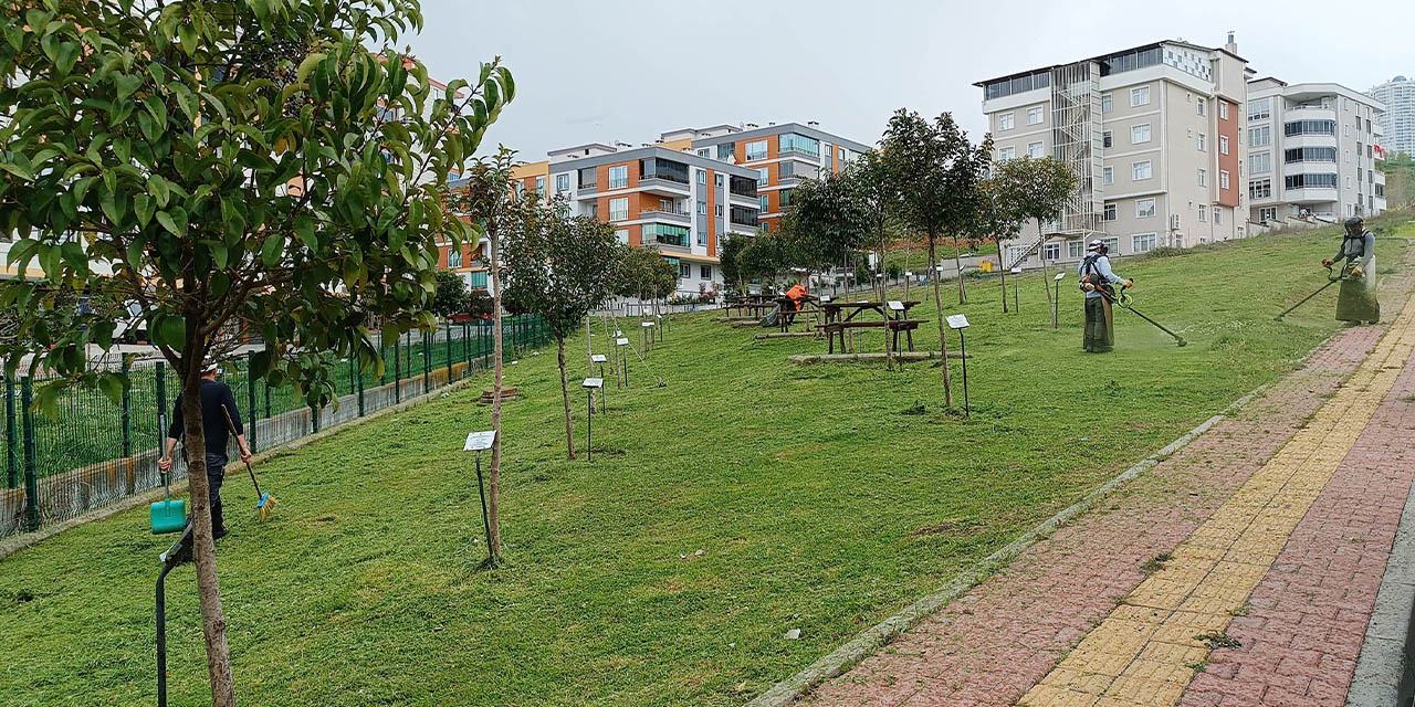 Atakum'da bahar temizliği