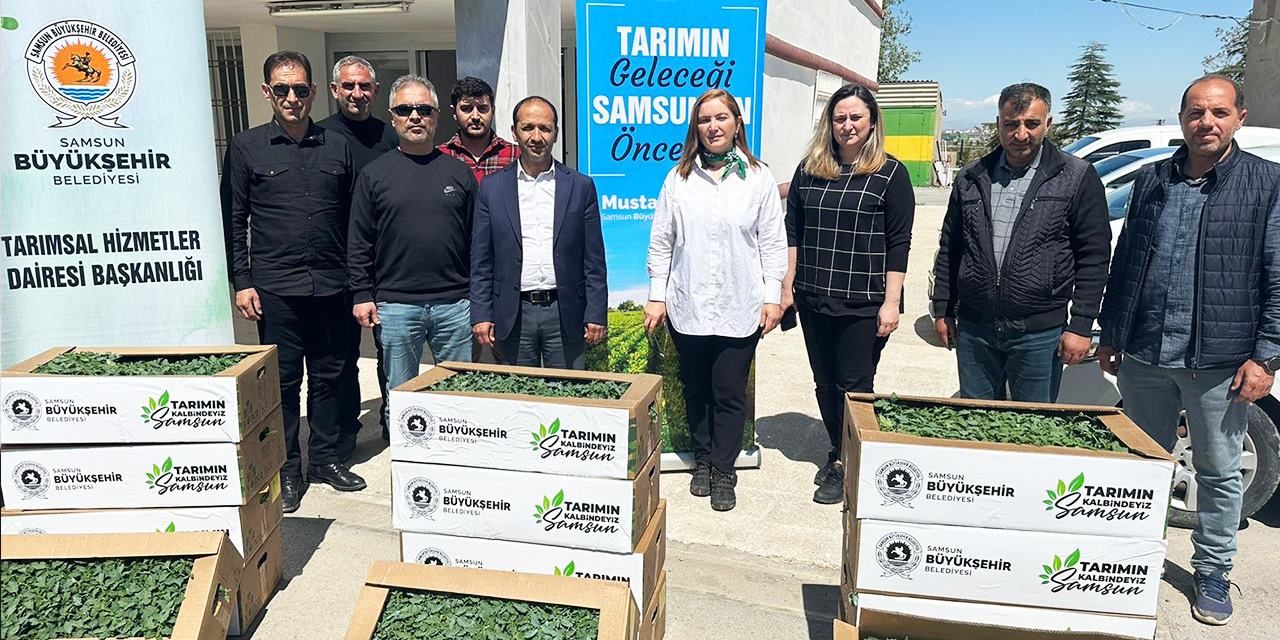 Deprem bölgesine tarımsal destek