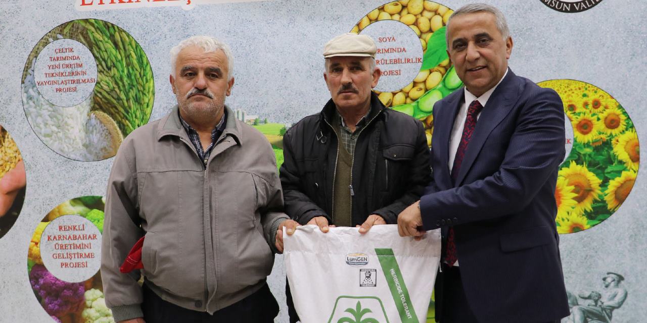 Çiftçilere ayçiçeği tohumu dağıtıldı